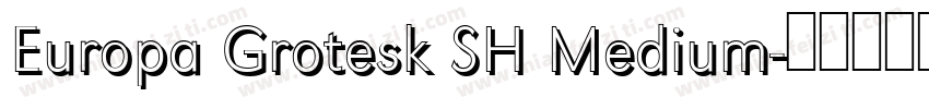 Europa Grotesk SH Medium字体转换